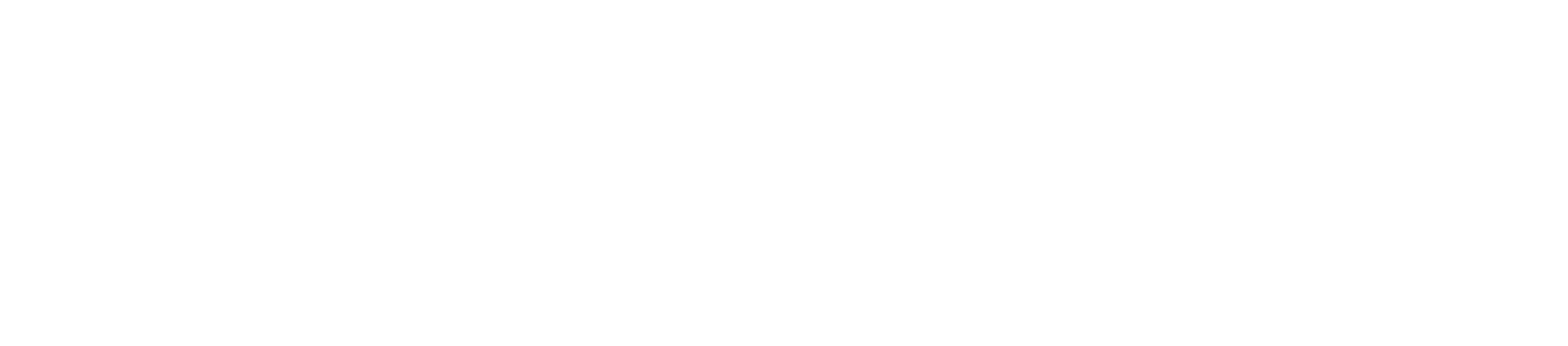 logo kzn